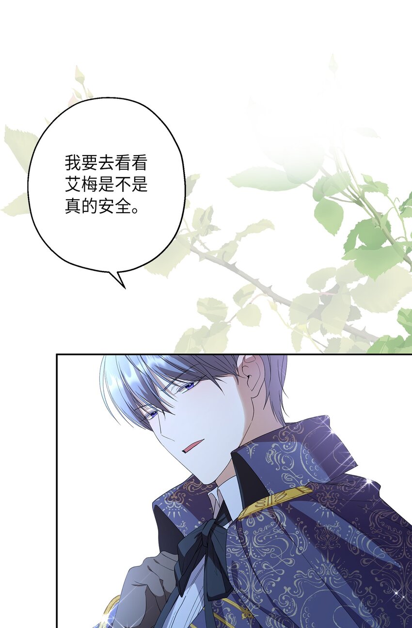 35 艾梅被掳(1/2)-第36话