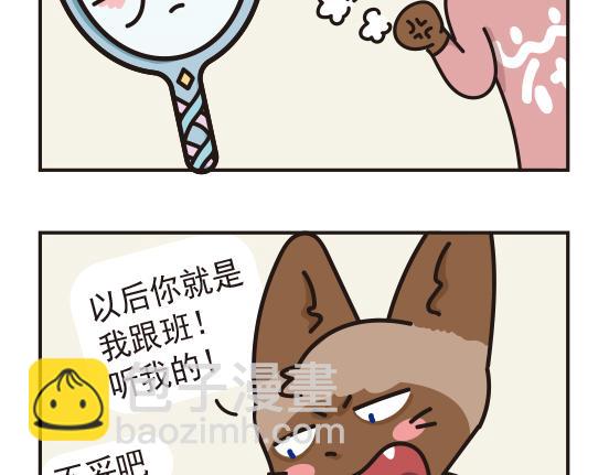 魔镜篇系列二-第10话