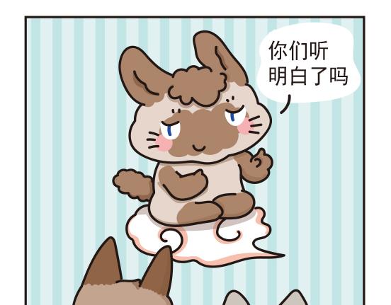 魔镜篇系列四&婚礼篇系列一-第12话