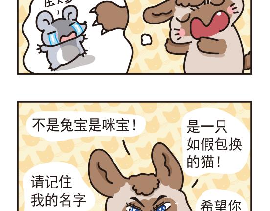 魔镜篇系列四&婚礼篇系列一-第12话