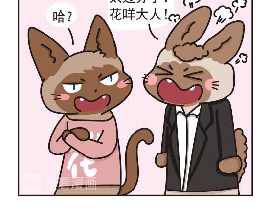 婚礼篇系列三-第14话