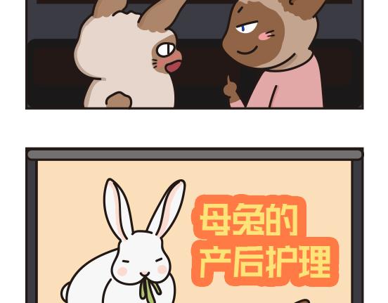 婚礼篇系列三-第14话