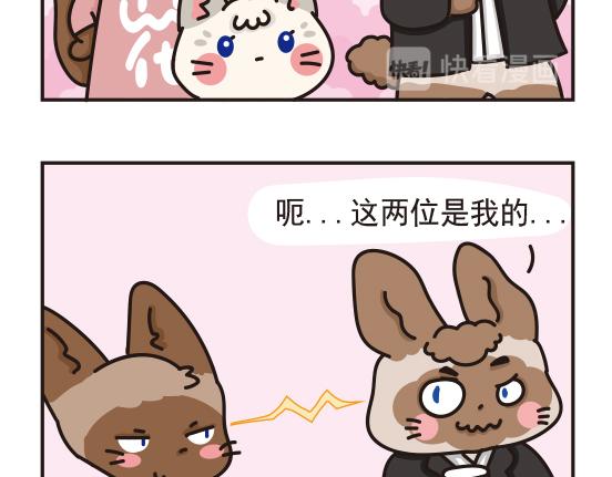 婚礼篇系列三-第14话