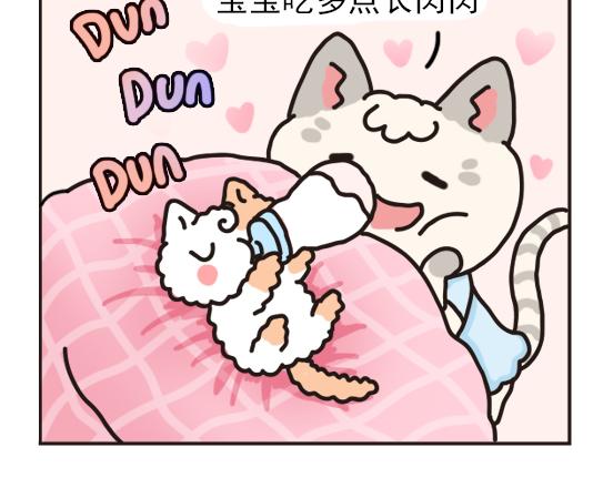 猫崽篇系列一-第18话