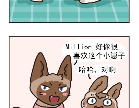 猫崽篇系列一-第18话