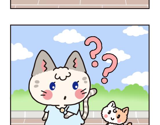 猫崽篇系列一-第18话