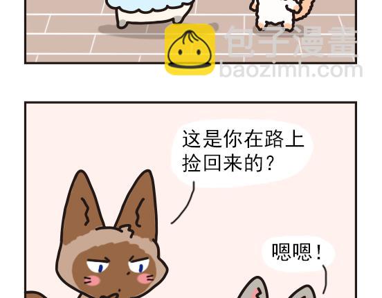 猫崽篇系列一-第18话