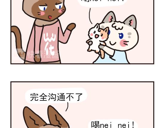 猫崽篇系列一-第18话