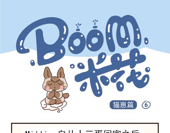 猫崽篇系列三-第20话