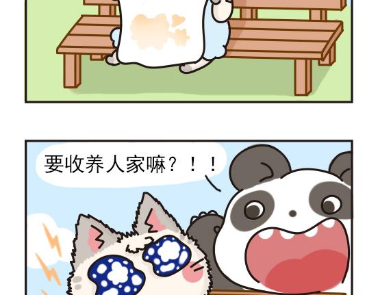 猫崽篇系列三-第20话