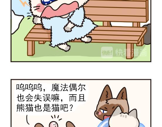 猫崽篇系列三-第20话