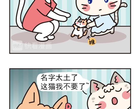 猫崽篇系列三-第20话