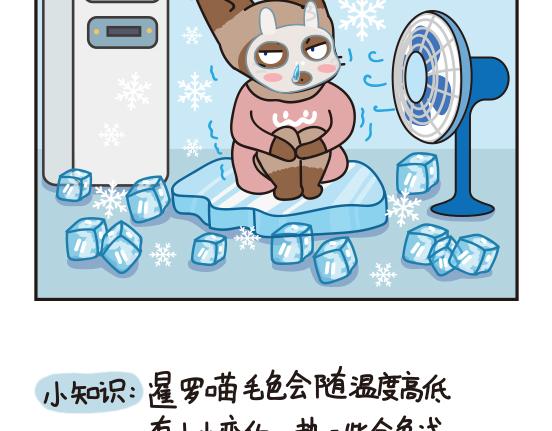 嘻哈篇系列四-第8话