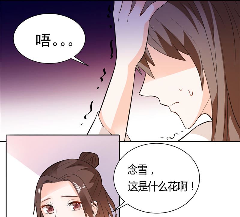 第10话 海芋花-第10话