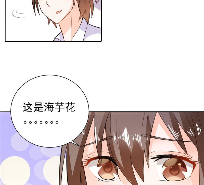 第10话 海芋花-第10话