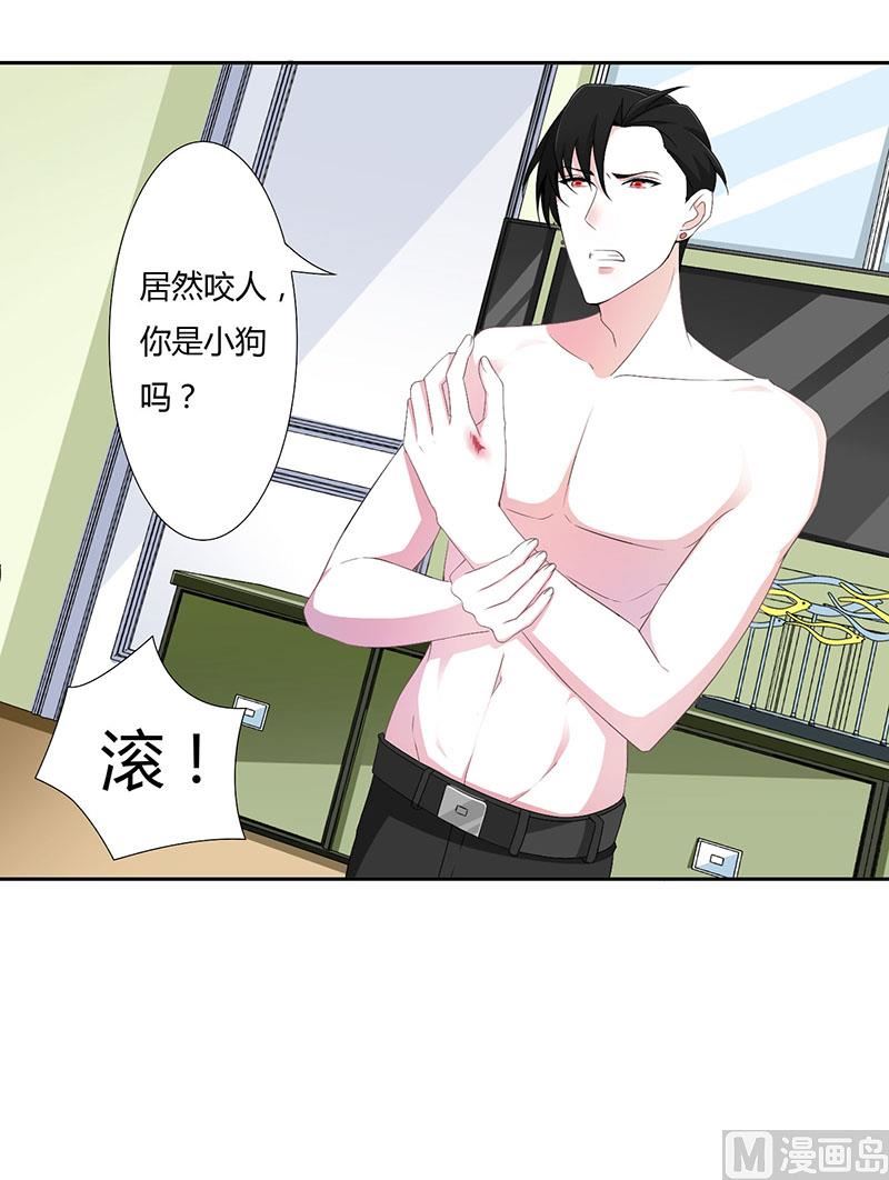 第42话 大白熊-第42话