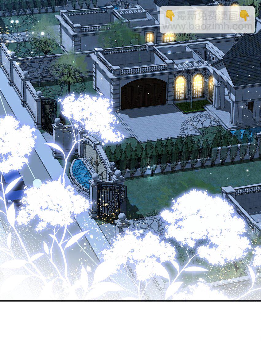 第1话 隐婚四年终离婚-第2话