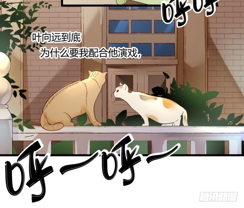 38 南南相亲记-第38话