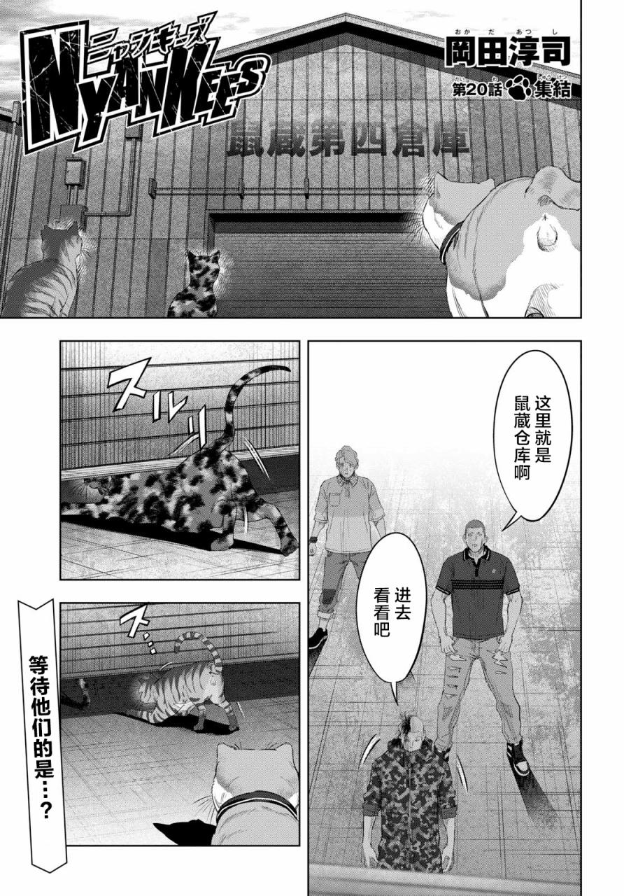 不良貓 - 20話 - 1