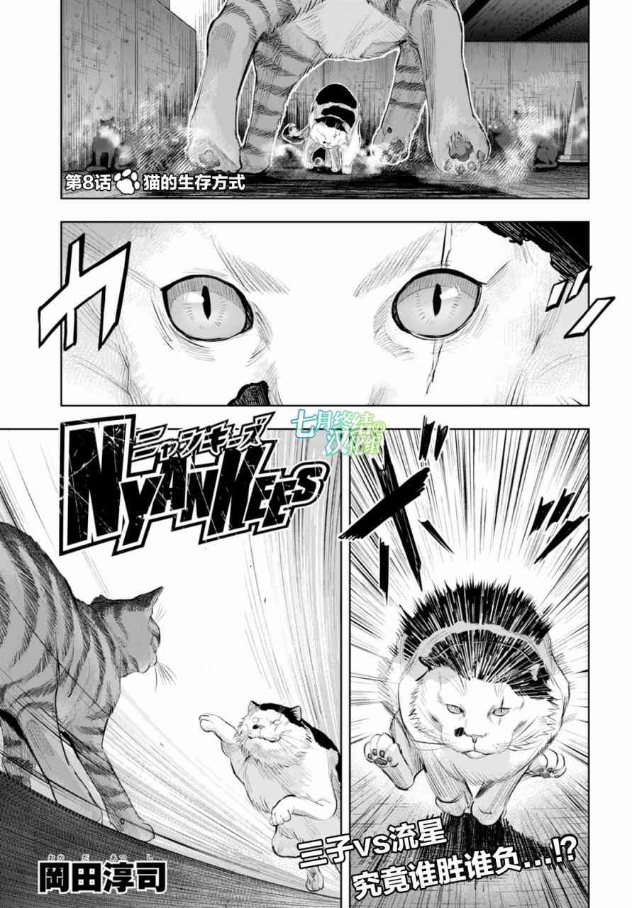 不良貓 - 8話 - 2