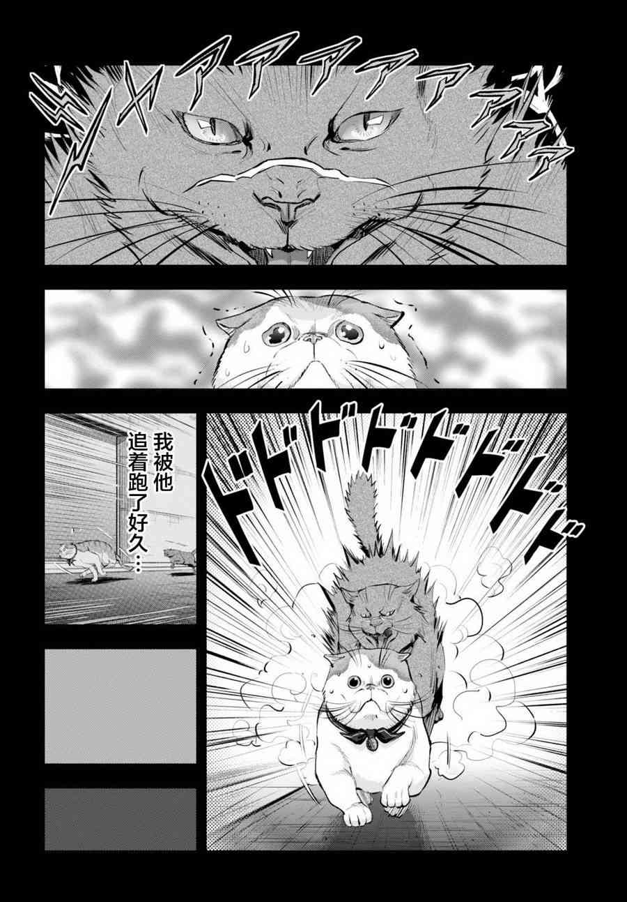 不良貓 - 10話 - 2