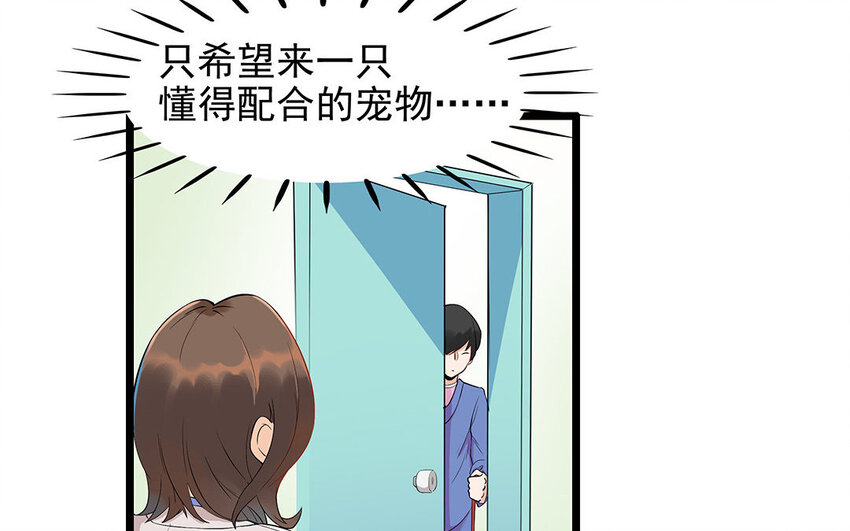 12 第13话 雪橇三傻，名不虚传(1/2)-第12话