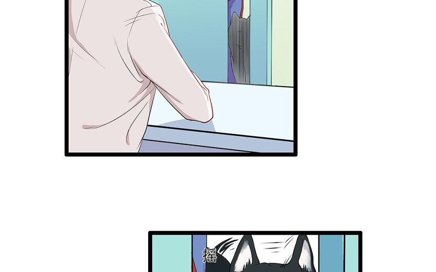 12 第13话 雪橇三傻，名不虚传(1/2)-第12话