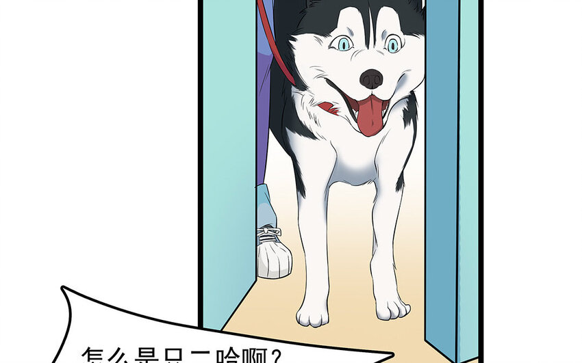 12 第13话 雪橇三傻，名不虚传(1/2)-第12话