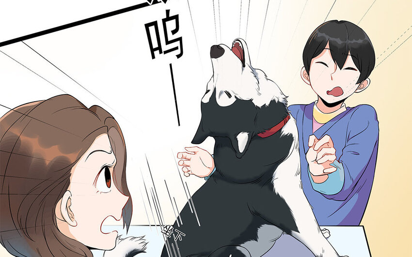 12 第13话 雪橇三傻，名不虚传(1/2)-第12话