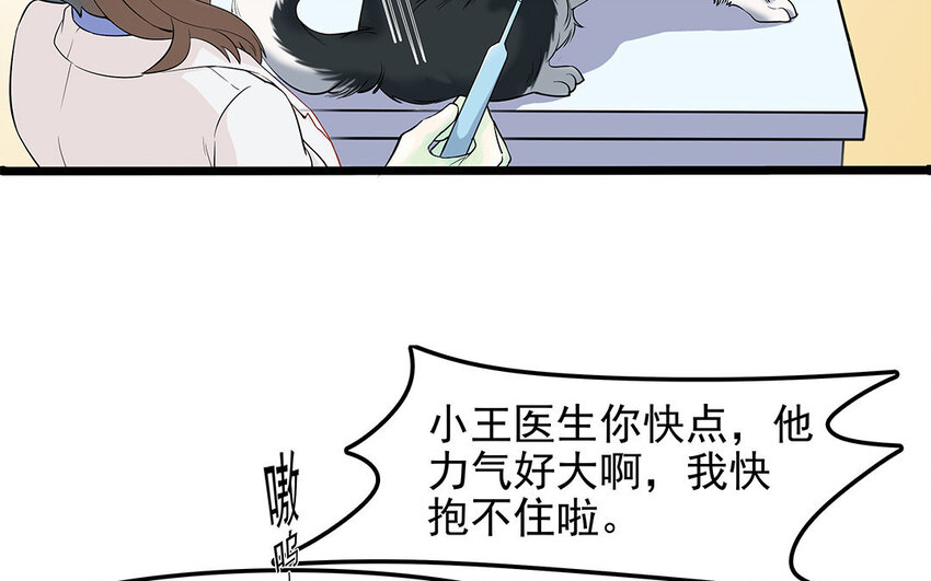 12 第13话 雪橇三傻，名不虚传(1/2)-第12话