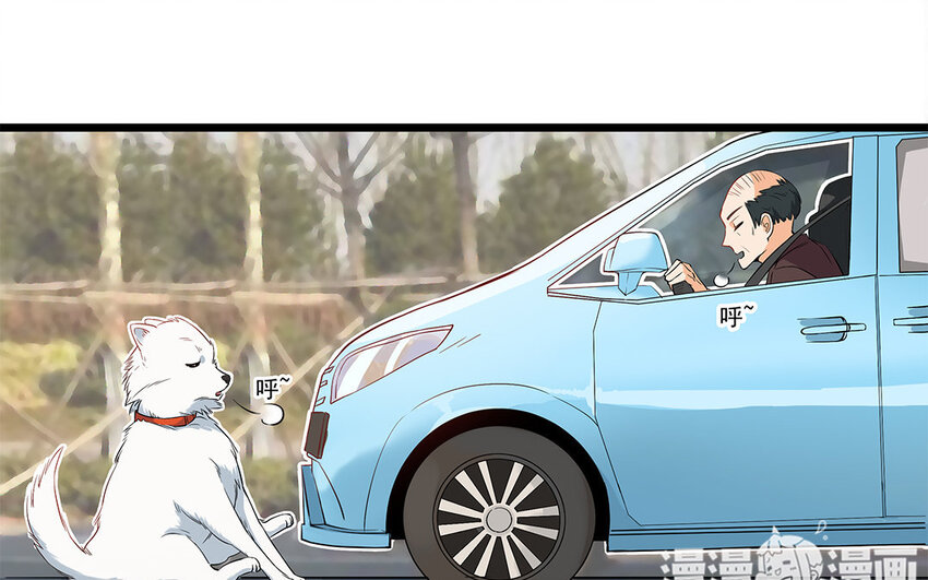 12 第13话 雪橇三傻，名不虚传(1/2)-第12话