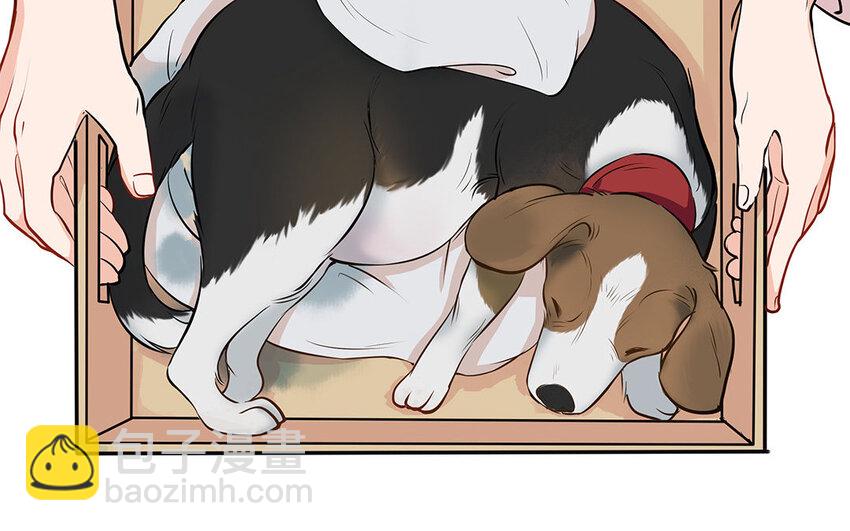 16 第17话 残酷的行业规则(1/2)-第16话