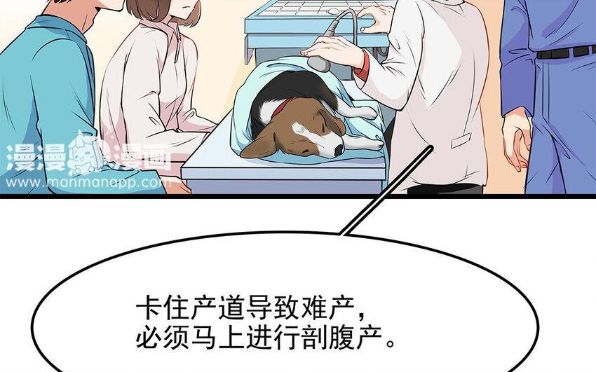 16 第17话 残酷的行业规则(1/2)-第16话