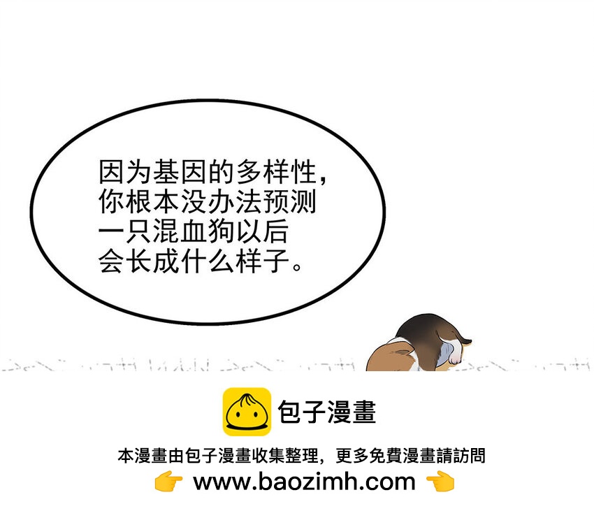 16 第17话 残酷的行业规则(1/2)-第16话