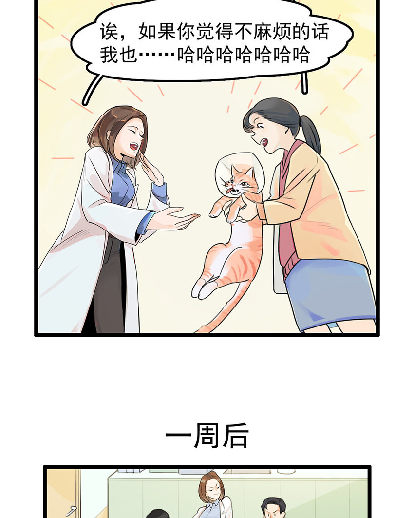 2 第1、2话 拆蛋专家-第2话