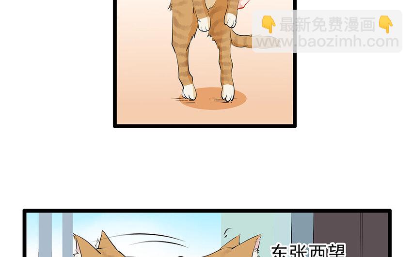 28 第29话 守丧症-第28话