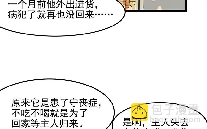 28 第29话 守丧症-第28话