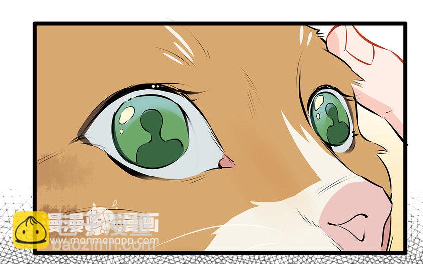 28 第29话 守丧症-第28话