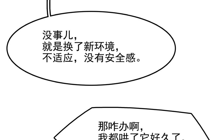 38 第39话 喵语十级(1/2)-第38话