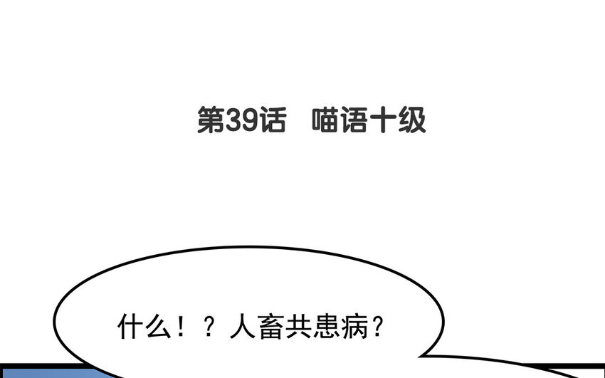 38 第39话 喵语十级(1/2)-第38话