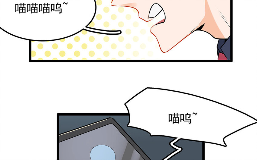 38 第39话 喵语十级(1/2)-第38话