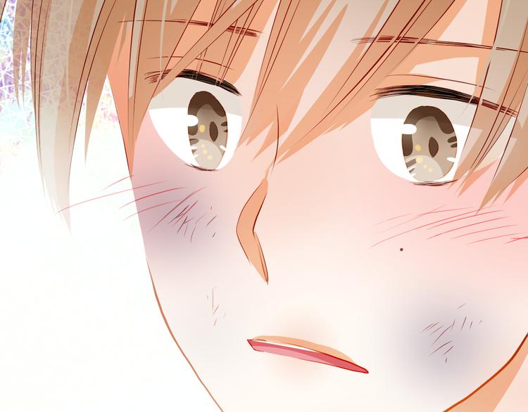 最终话 喜欢你(1/3)-第52话