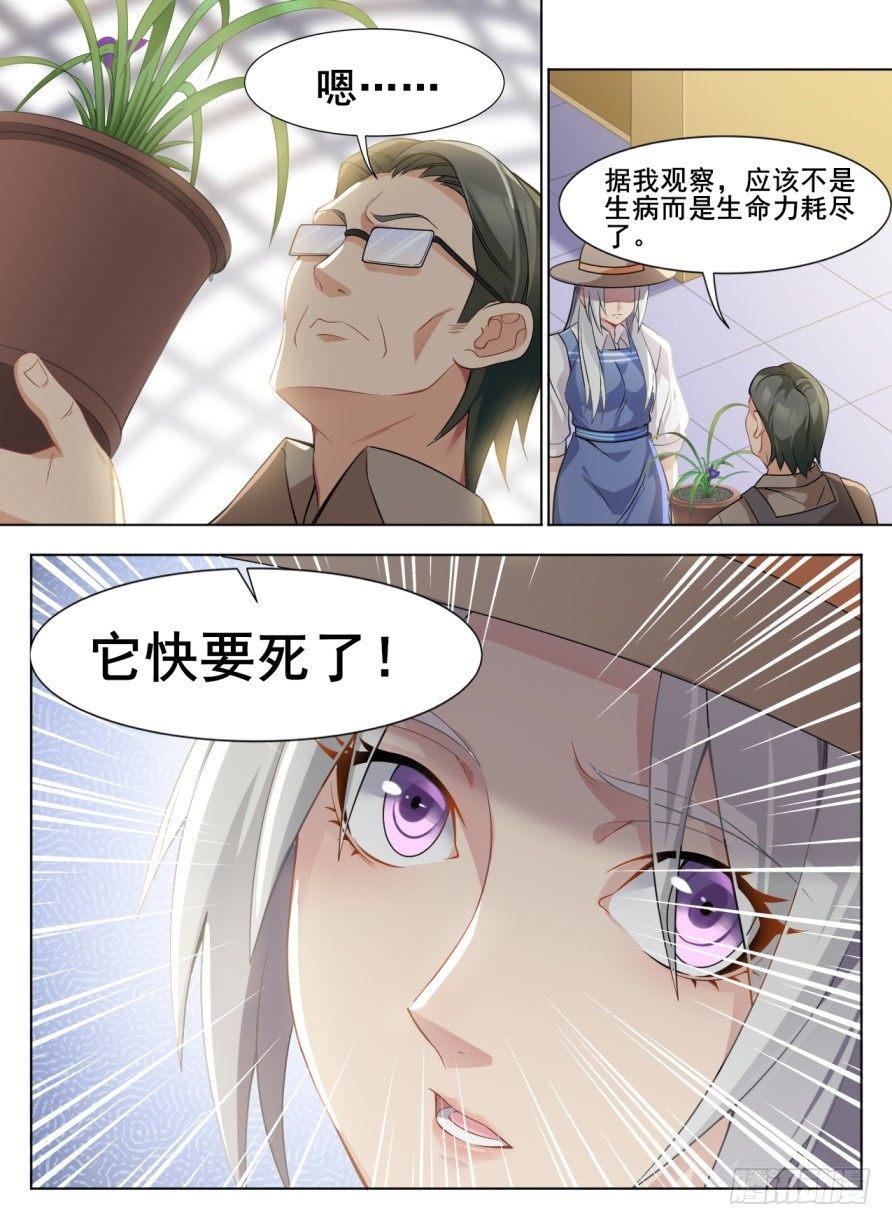 第二十三话：灵气水草！-第26话