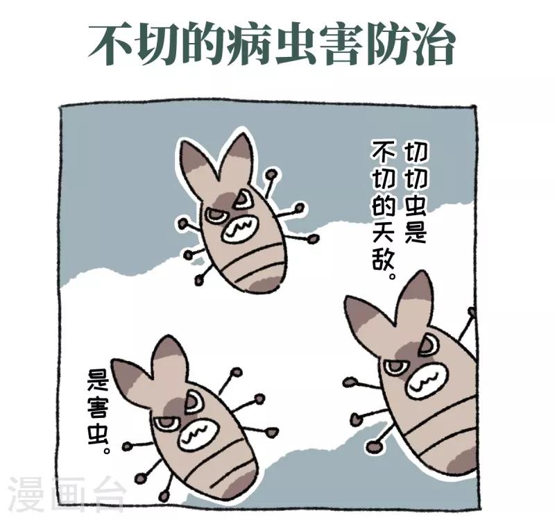 第36话 关于不切-第36话