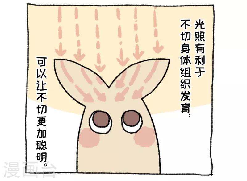 第36话 关于不切-第36话