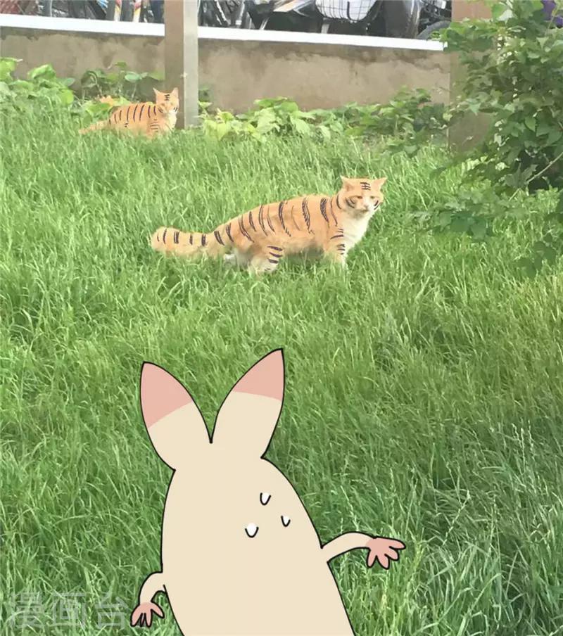 第72话 买东西的时候-第72话