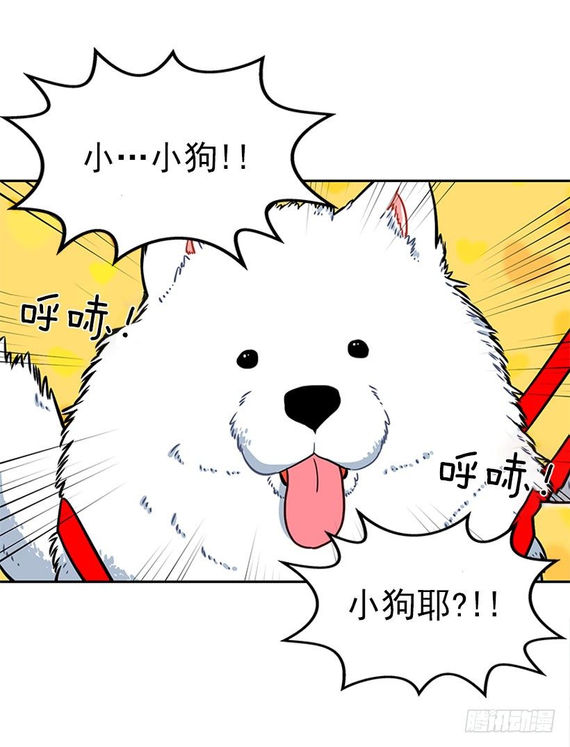 和我打一架吧！-第12话