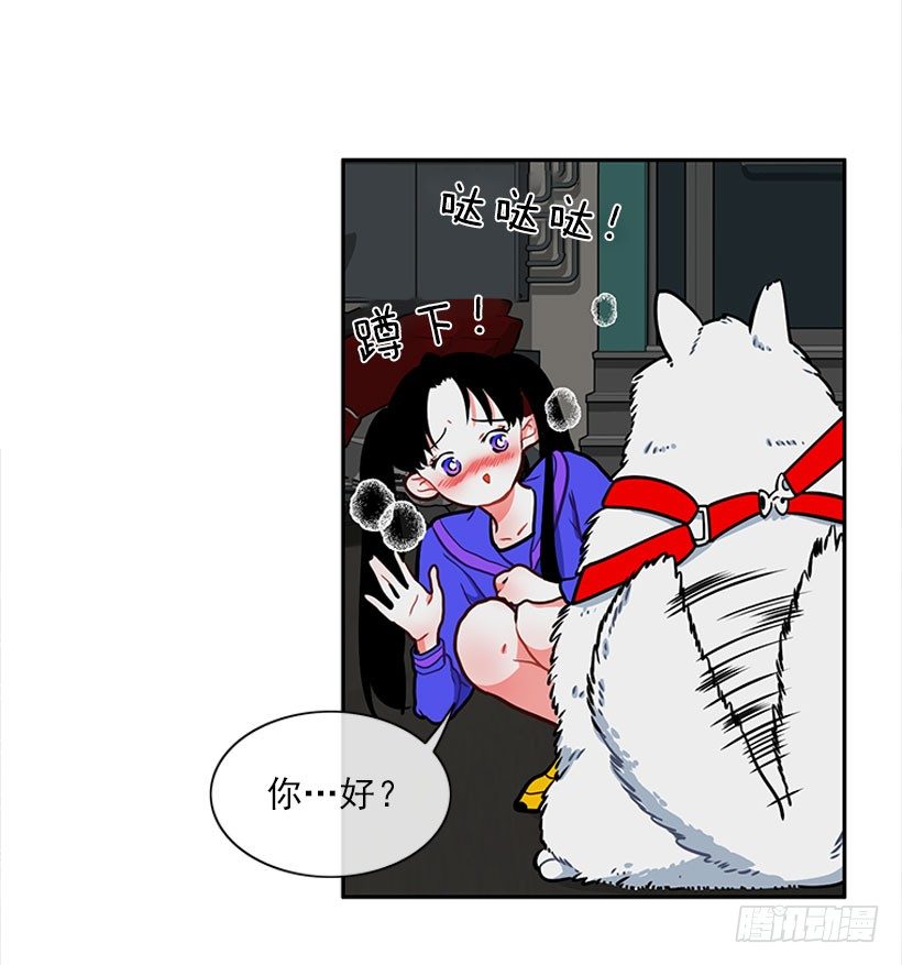 和我打一架吧！-第12话