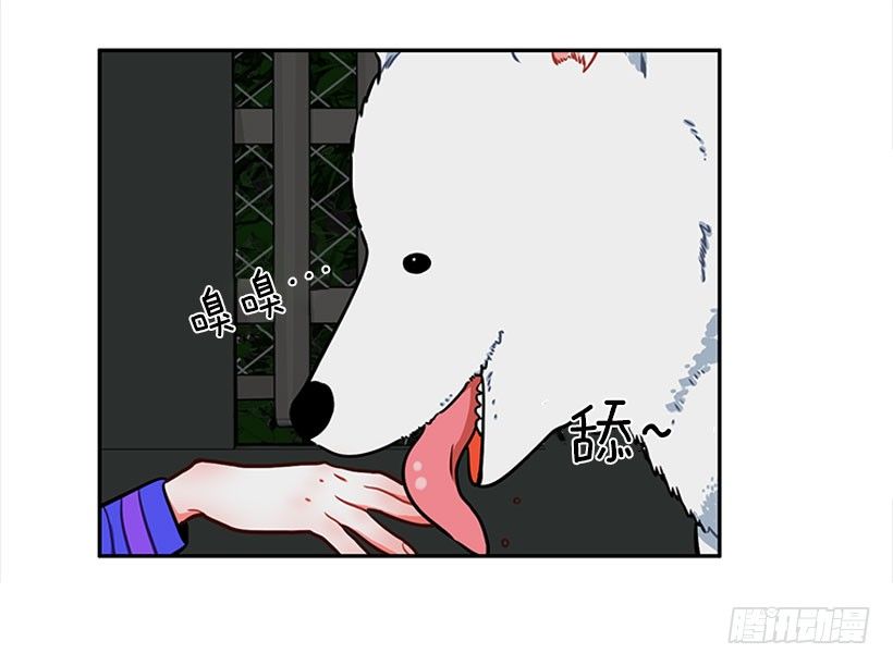 和我打一架吧！-第12话