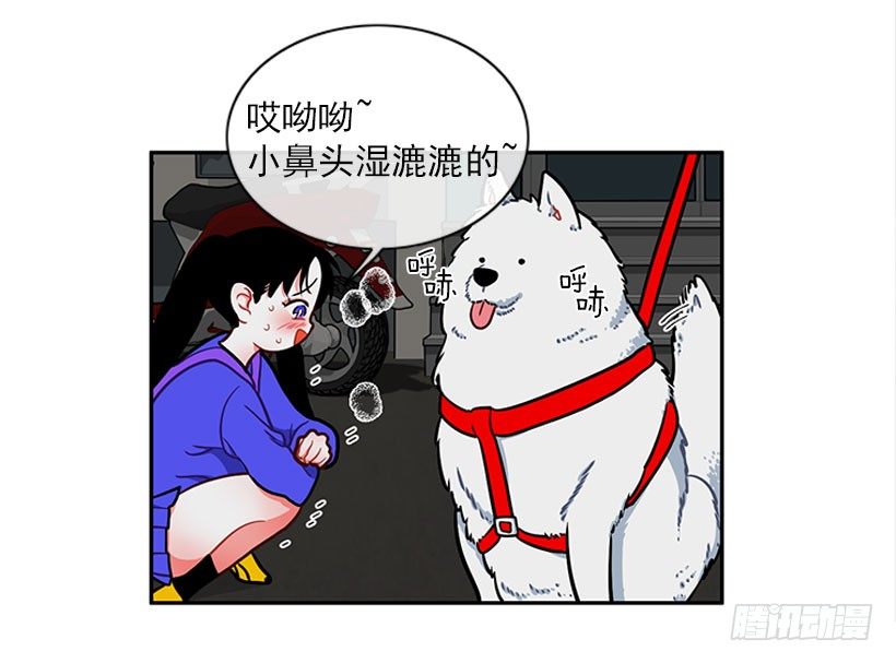 和我打一架吧！-第12话